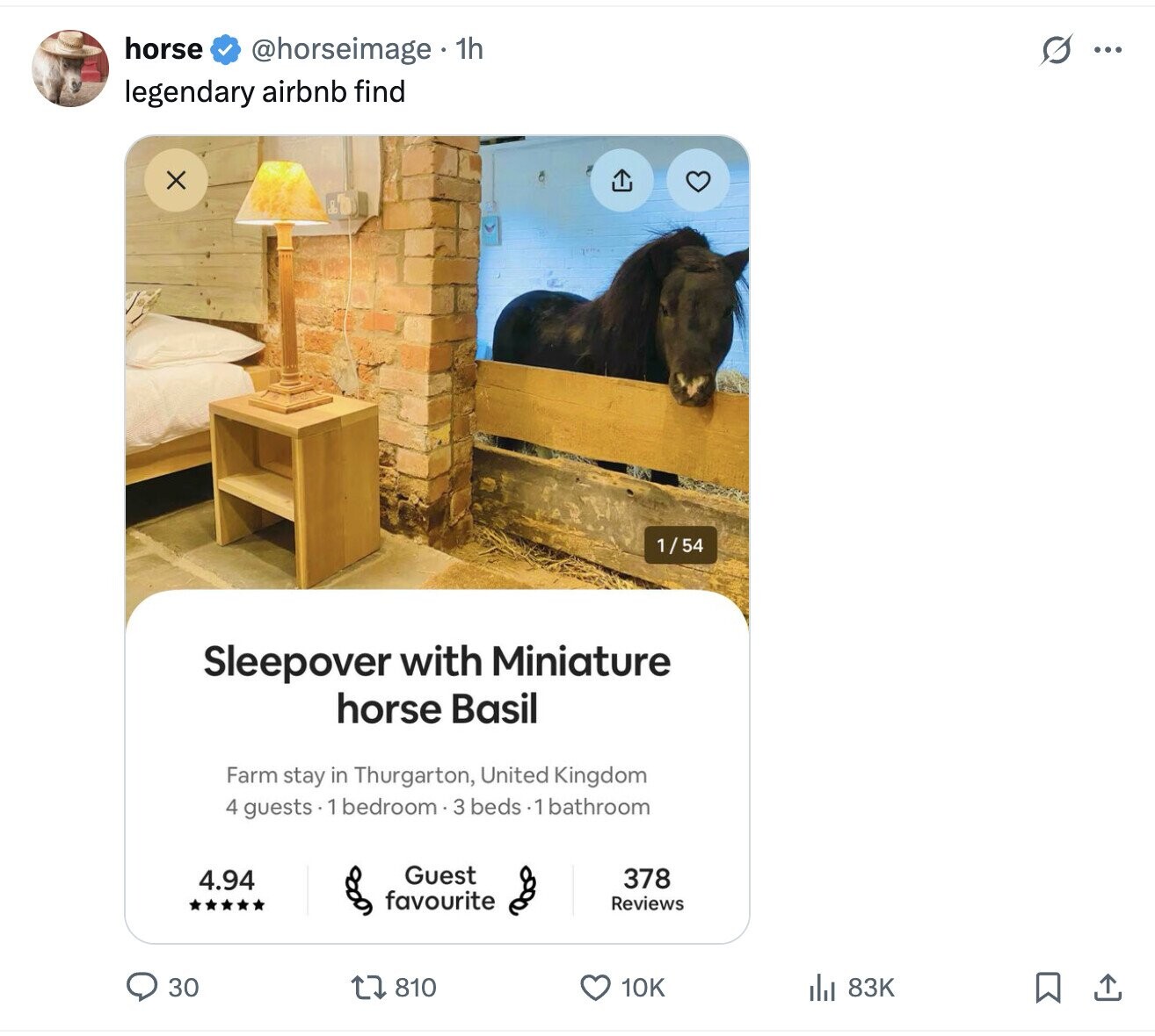 horse s ... @horseimage 1h legendary airbnb find X 1/54 Sleepover with Miniature horse Basil Farm stay in Thurgarton, United Kingdom 4 guests. 1 bedroom.3 beds.1 bathroom Guest 378 4.94 favourite Reviews 810 10K 83K 30