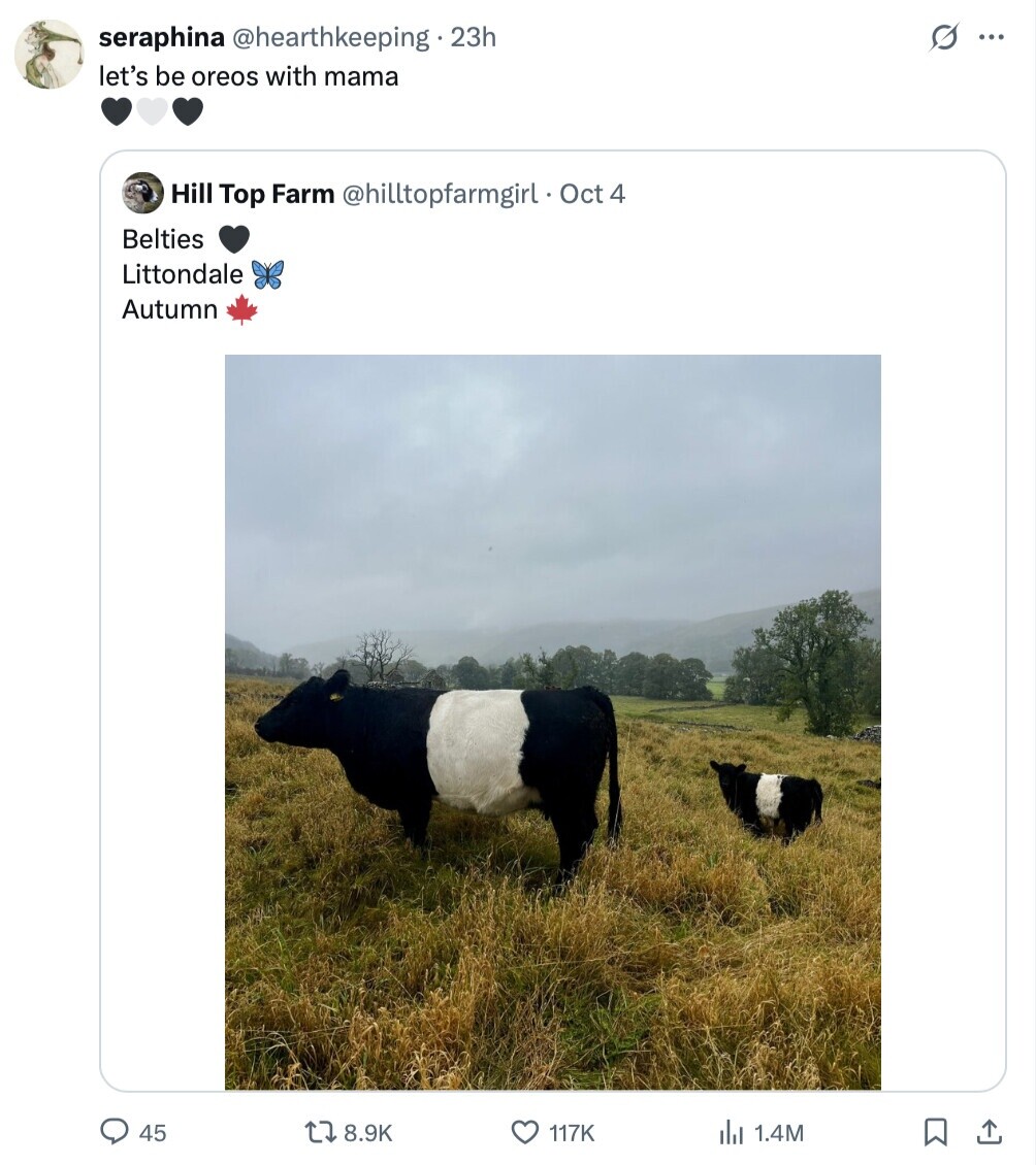 seraphina @hearthkeeping 23h G ... let's be oreos with mama Hill Top Farm @hilltopfarmgirl. Oct - 4 Belties Littondale Autumn 45 8.9K 117K del 1.4M 