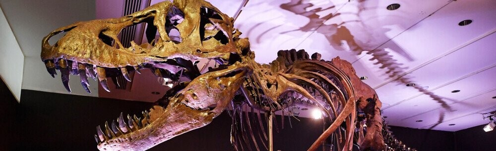 30 Fascinating Now-You-Know Facts About Animals, History, And More