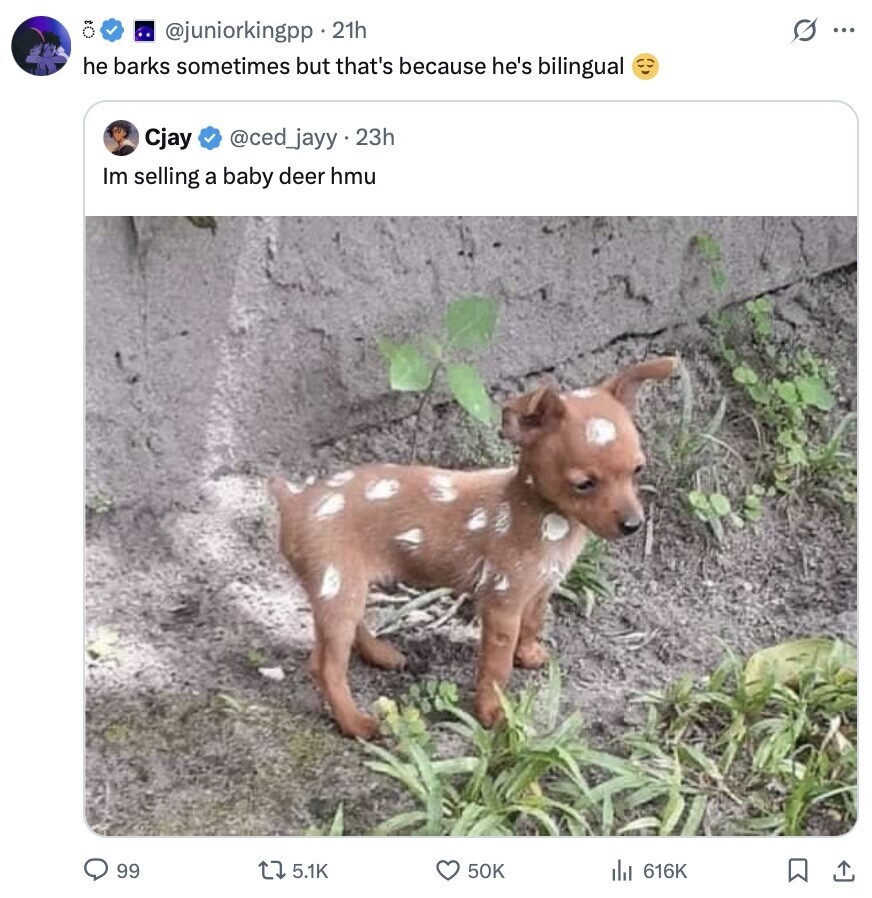 @juniorkingpp . 21h s ... he barks sometimes but that's because he's bilingual Cjay @ced_jayy.23h Im selling a baby deer hmu 99 5.1K 50K 616K 