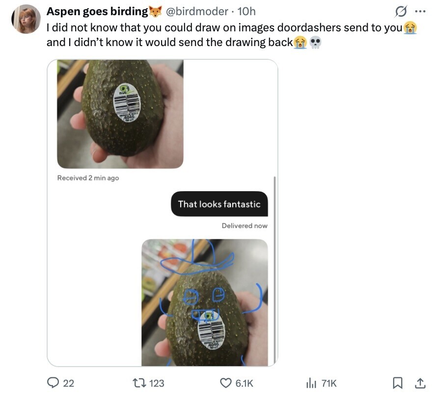 Aspen goes birding @birdmoder . 10h G ... I did not know that you could draw on images doordashers send to you and I didn't know it would send the drawing back Frut en Received 2 min ago That looks fantastic Delivered now 4046 - 22 123 6.1K del 71K
