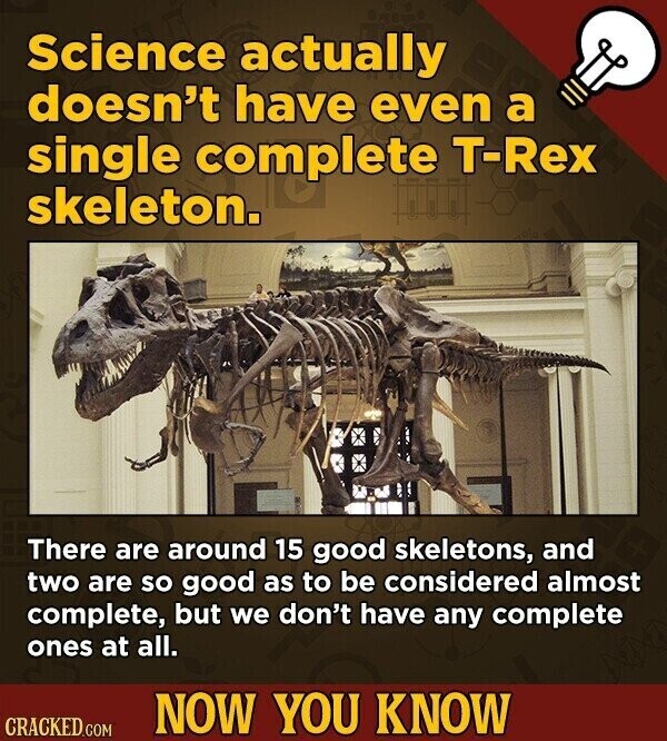 Science actually doesn't have even a single complete T-Rex skeleton. There are around 15 good skeletons, and two are so good as to be considered almost complete, but we don't have any complete ones at all. NOW YOU KNOW CRACKED.COM