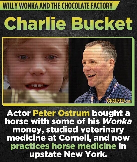 WILLY WONKA AND THE CHOCOLATE FACTORY Charlie Bucket CRACKED.COM Actor Peter Ostrum bought a horse with some of his Wonka money, studied veterinary medicine at Cornell, and now practices horse medicine in upstate New York.