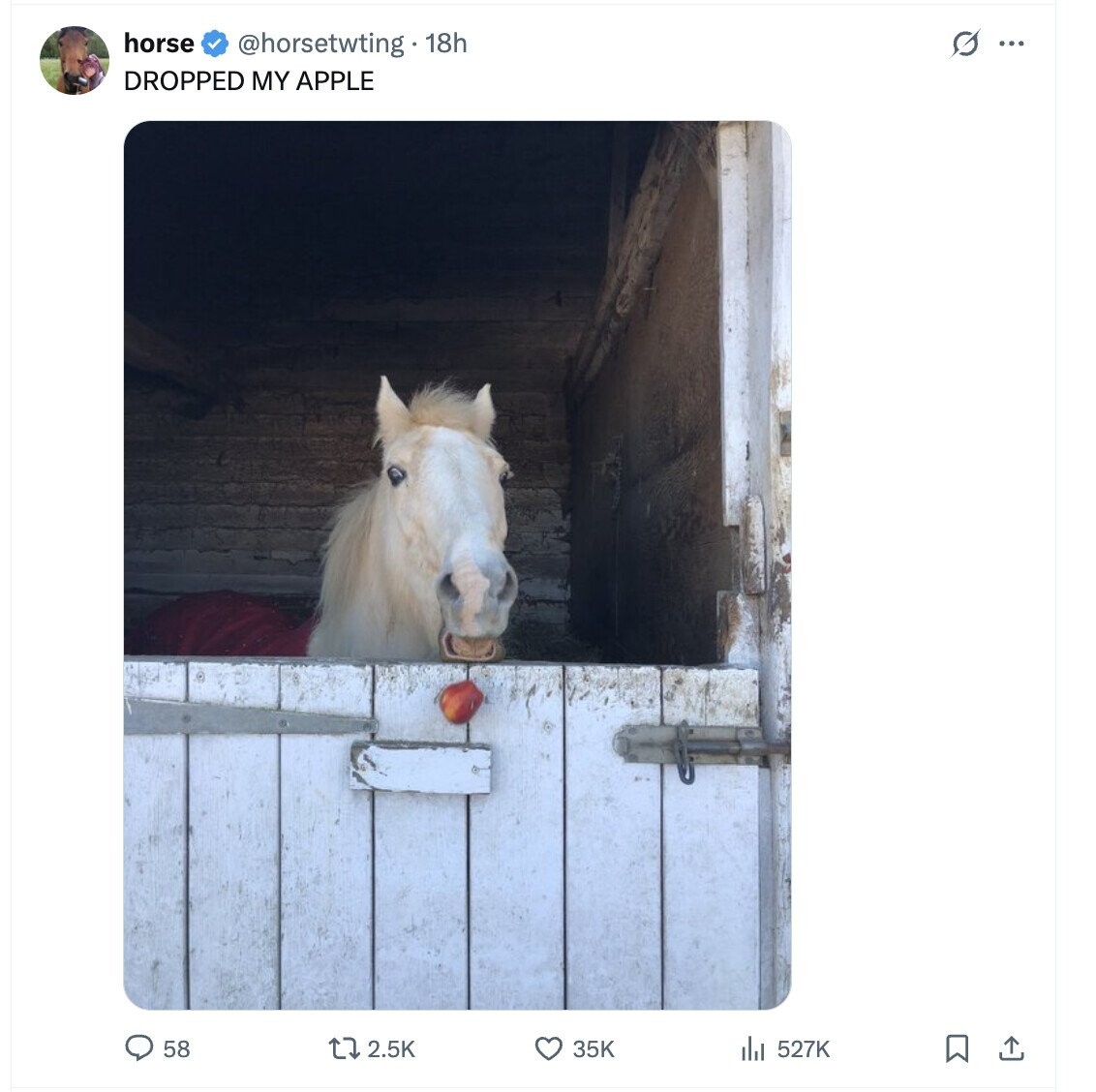 horse s ... @horsetwting 18h DROPPED MY APPLE 58 2.5K 35K 527K 