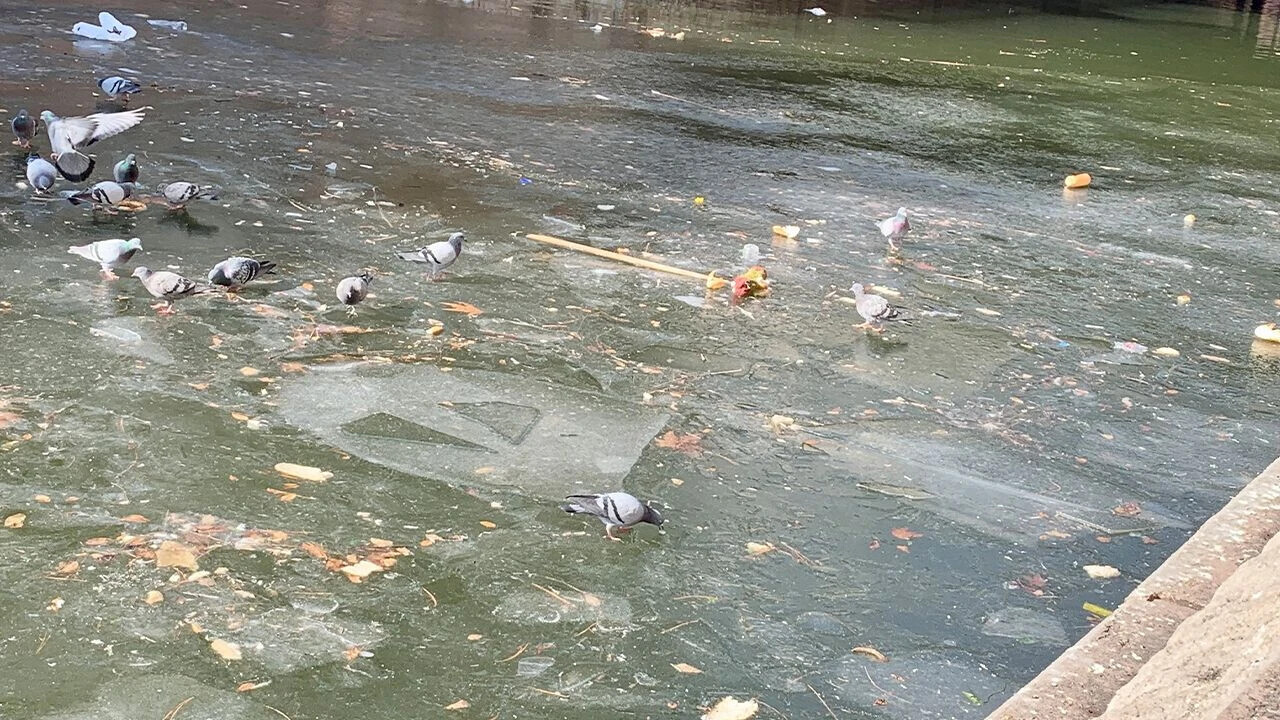 15 Tragic Photos of Water Nobody Should Be In