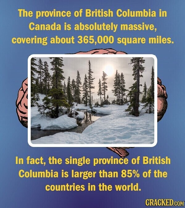 The province of British Columbia in Canada is absolutely massive, covering about 365,000 square miles. In fact, the single province of British Columbia is larger than 85% of the countries in the world. CRACKED.COM