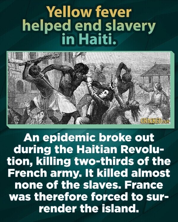 Yellow fever helped end slavery in Haiti. CRACKED.COM An epidemic broke out during the Haitian Revolu- tion, killing two-thirds of the French army. It killed almost none of the slaves. France was therefore forced to sur- render the island.
