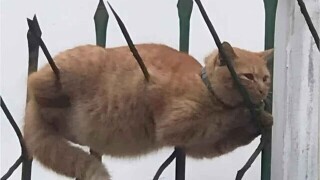 Images That Make You Question What’s Actually Happening