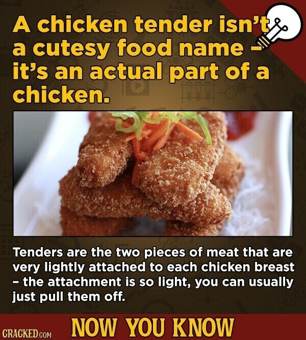 A chicken tender isn't a cutesy food name - it's an actual part of a chicken. Tenders are the two pieces of meat that are very lightly attached to each chicken breast - the attachment is so light, you can usually just pull them off. NOW YOU KNOW CRACKED.COM