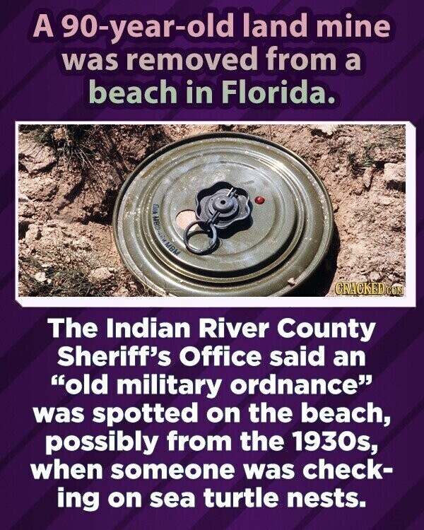 31 Reasons Why Florida Is Basically - 1329180