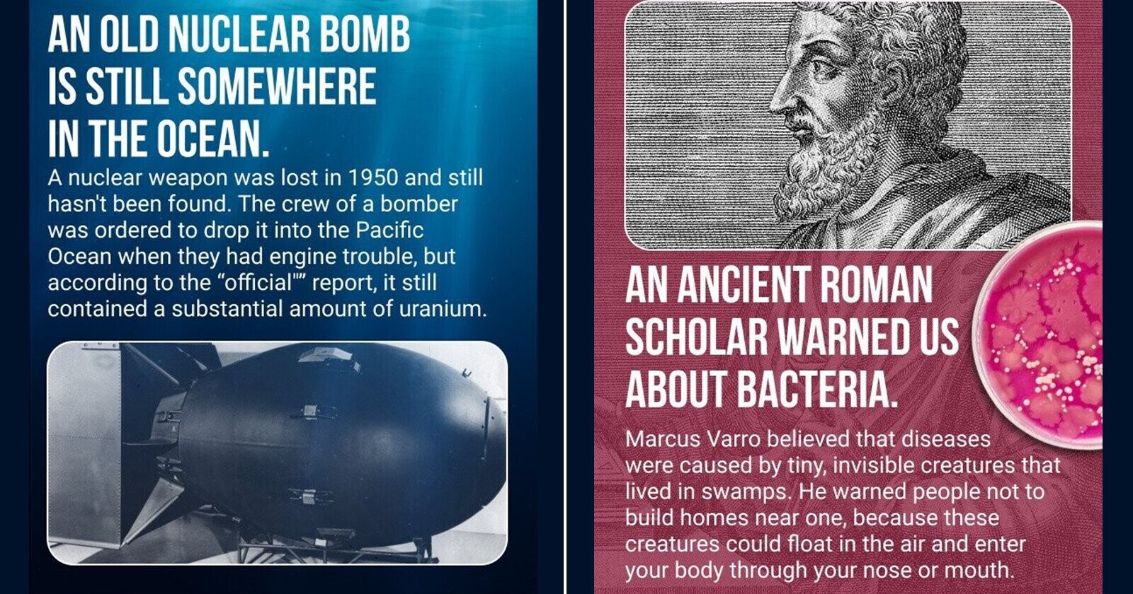 15 Facts About Hootie & The Blowfish, Horse Burgers, And Nuclear Kitty