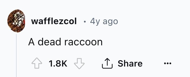 wafflezcol . 4y ago A dead raccoon 1.8K Share ...