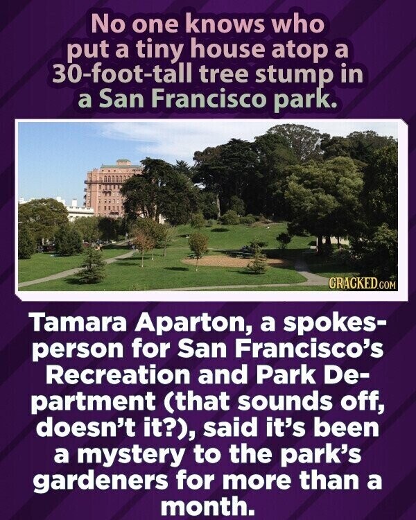 No one knows who put a tiny house atop a 30-foot-tall tree stump in a San Francisco park. CRACKED.COM Tamara Aparton, a spokes- person for San Francisco's Recreation and Park De- partment (that sounds off, doesn't it?), said it's been a mystery to the park's gardeners for more than a month.