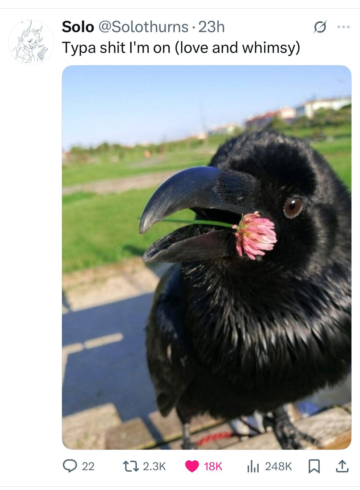 Solo @Solothurns 23h S ... Typa shit I'm on (love and whimsy) 22 2.3K 18K 248K 