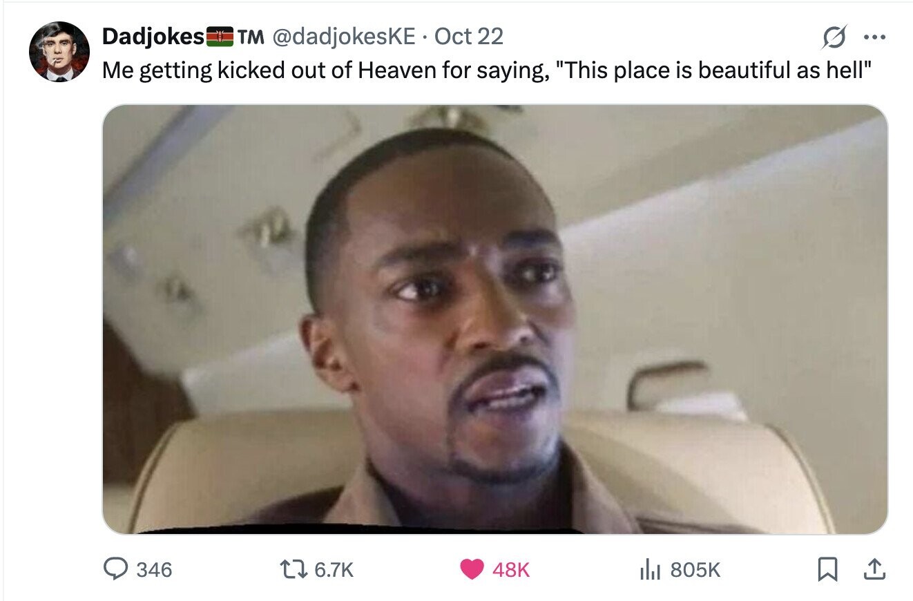 Dadjokes TM @dadjokesKE Oct 22 S ... Me getting kicked out of Heaven for saying, This place is beautiful as hell 346 6.7K 48K del 805K