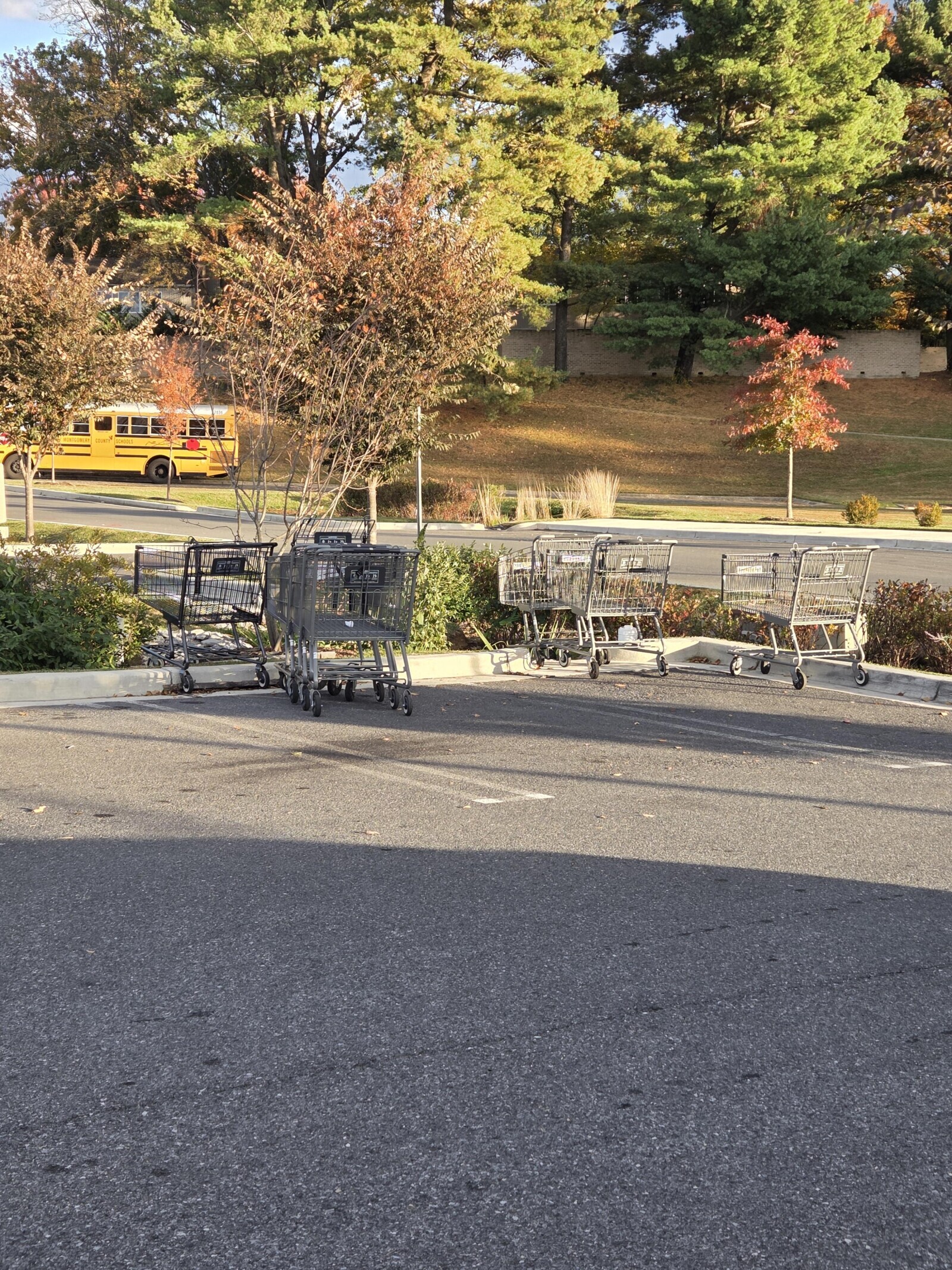 Photos Where Humanity's Common Sense is up for Debate