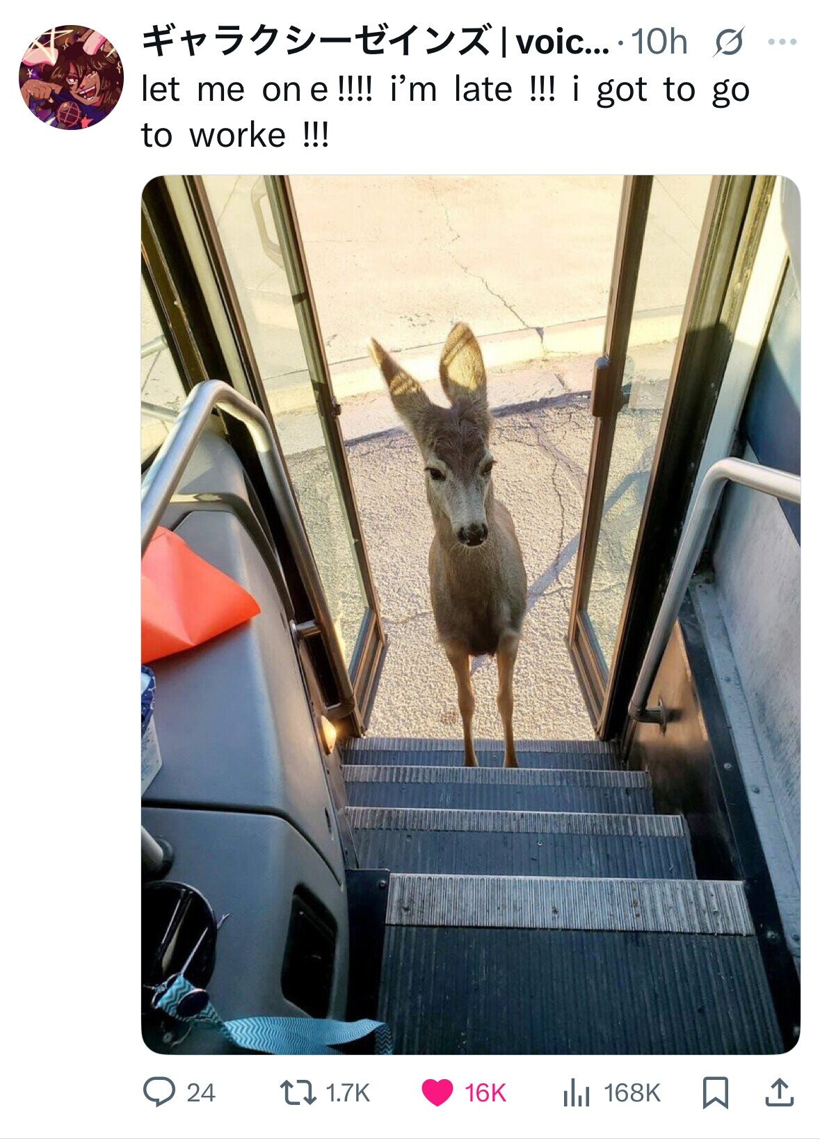 - |voic... 10h s ... let me on e !!!! i'm late !!! i got to go to worke !!! 24 1.7K 16K 168K 