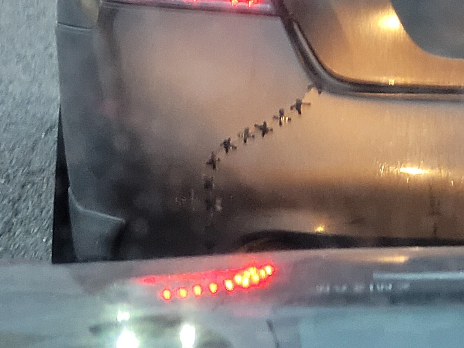 Photos Where Humanity's Common Sense is up for Debate