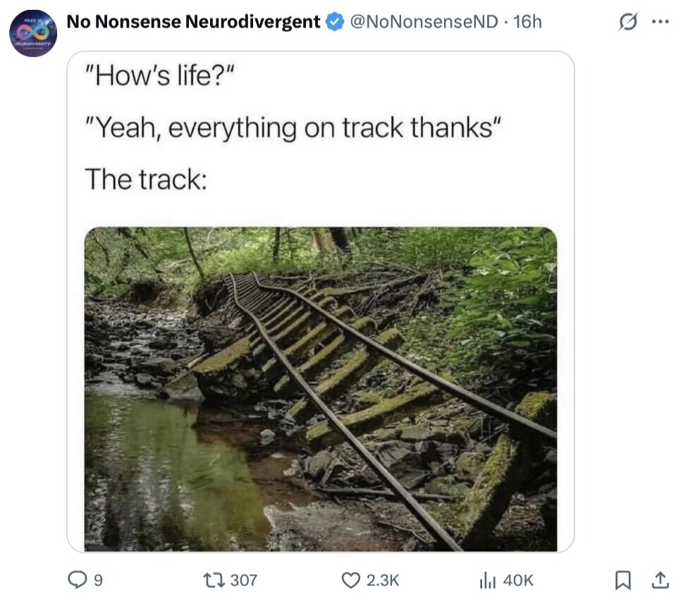 PRIDE a S No Nonsense Neurodivergent @NoNonsenseND 16h ... NEURODIVERSITY How's life? Yeah, everything on track thanks The track: 9 307 2.3K 40K 