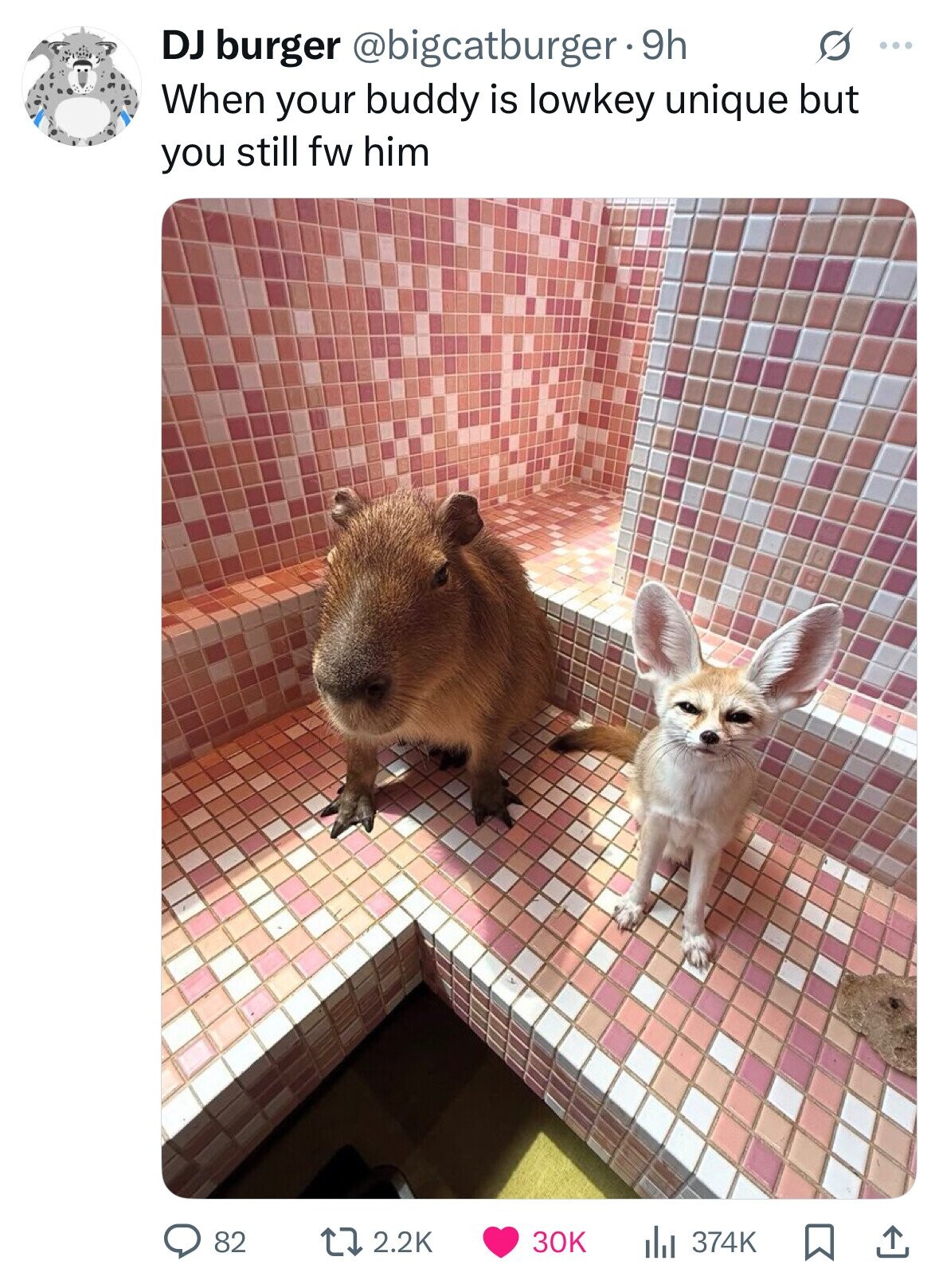 DJ burger @bigcatburger. 9 9h s ... When your buddy is lowkey unique but you still fw him 82 2.2K 30K 374K 