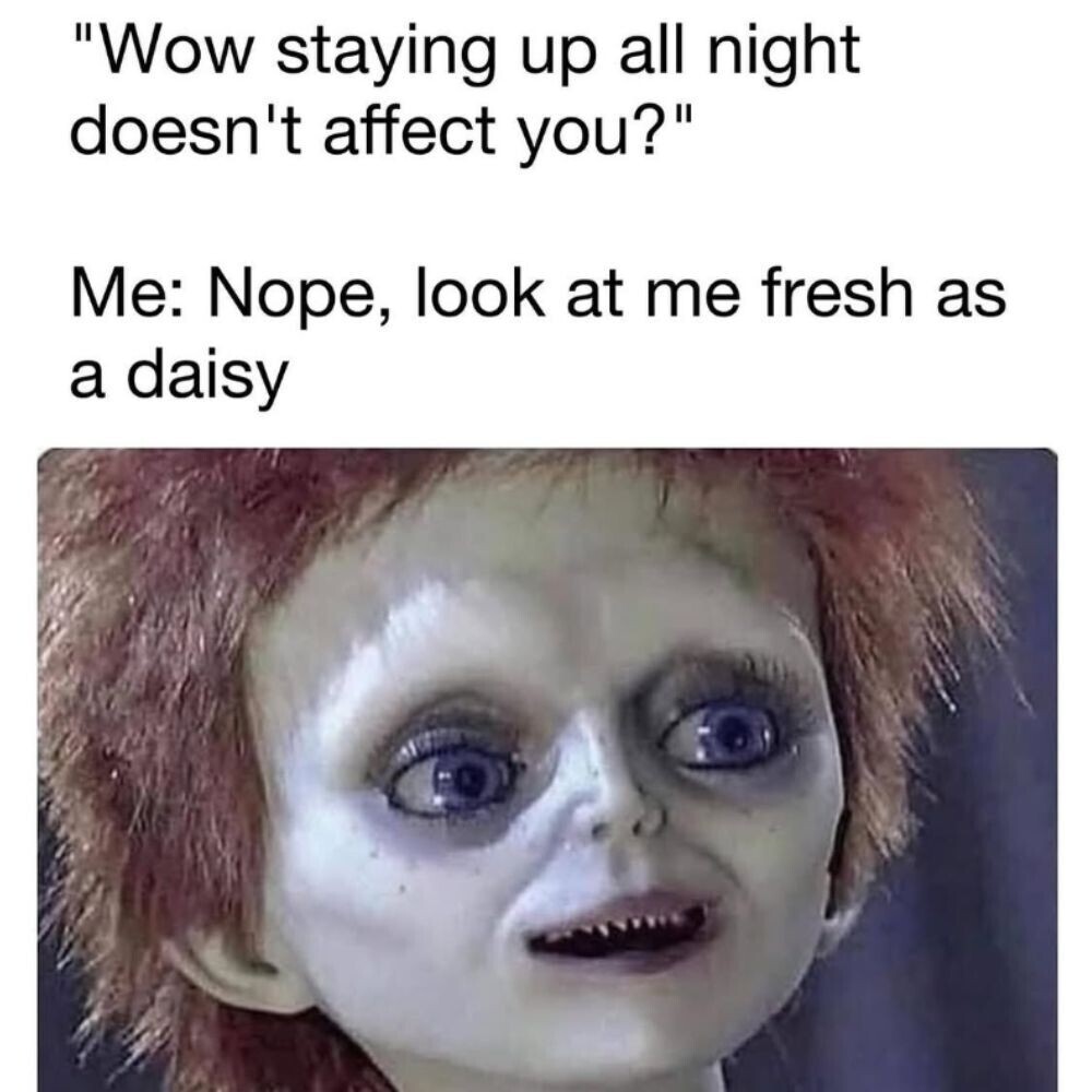 Soothingly Relatable Memes to Guide Sleepyheads to Bed Struggling to ...