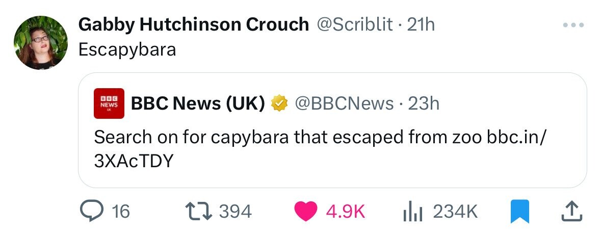 Gabby Hutchinson Crouch @Scriblit 21h ... Escapybara с NEWS BBC News (UK) @BBCNews . 23h LK Search on for capybara that escaped from zoo bbc.in/ 3XAcTDY 16 394 4.9K 234K