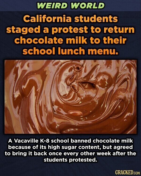 WEIRD WORLD California students staged a protest to return chocolate milk to their school lunch menu. A Vacaville K-8 school banned chocolate milk because of its high sugar content, but agreed to bring it back once every other week after the students protested. CRACKED.COM