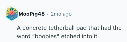 MooPig48 . 2mo ago A concrete tetherball pad that had the word boobies etched into it 