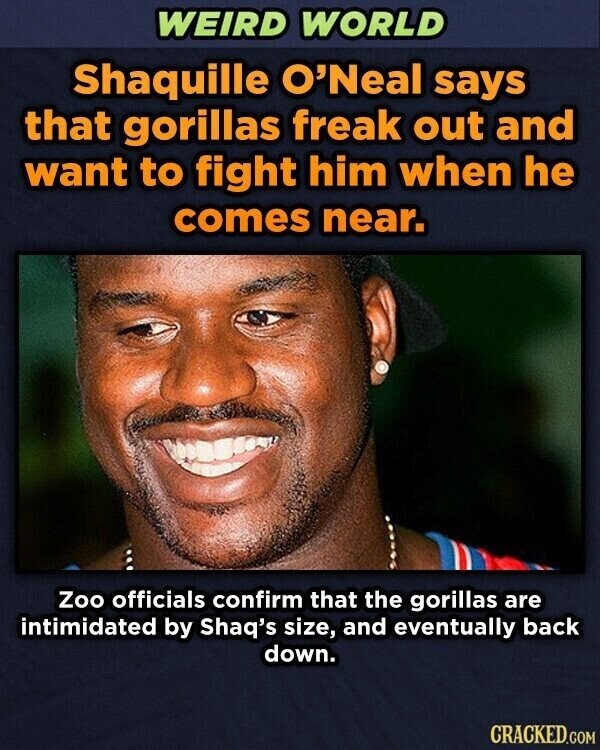 WEIRD WORLD Shaquille O'Neal says that gorillas freak out and want to fight him when he comes near. Zoo officials confirm that the gorillas are intimidated by Shaq's size, and eventually back down. CRACKED.COM