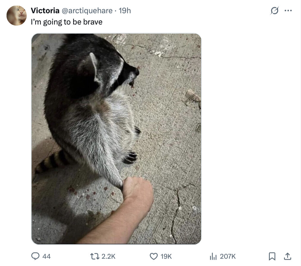 s ... Victoria @arctiquehare. 19h I'm going to be brave 44 2.2K 19K del 207K 