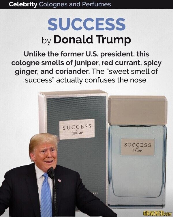 Celebrity Colognes and Perfumes SUCCESS by Donald Trump Unlike the former U.S. president, this cologne smells of juniper, red currant, spicy ginger, and coriander. The sweet smell of success actually confuses the nose. SUCCESS BY TRUMP SUCCESS BY TRUMP RAY GRACKED.COM