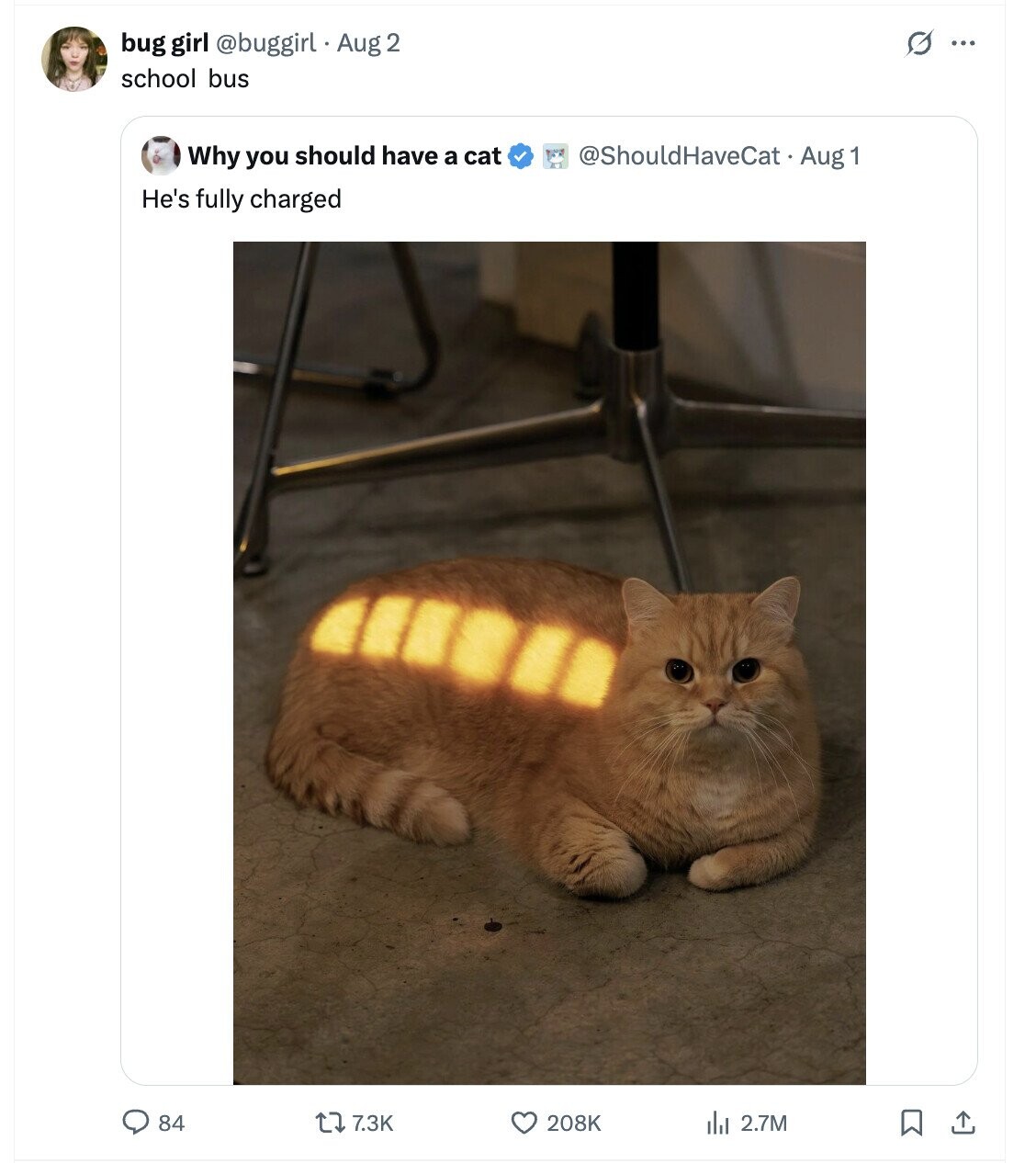 G ... bug girl @buggirl Aug 2 school bus @ShouldHaveCat. Aug 1 Why you should have a cat He's fully charged 84 7.3K 208K 2.7M 