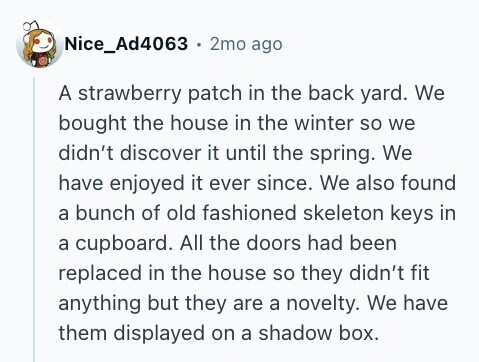 Nice_Ad4063 2mo ago A strawberry patch in the back yard. We bought the house in the winter so we didn't discover it until the spring. We have enjoyed it ever since. We also found a bunch of old fashioned skeleton keys in a cupboard. All the doors had been replaced in the house so they didn't fit anything but they are a novelty. We have them displayed on a shadow box. 
