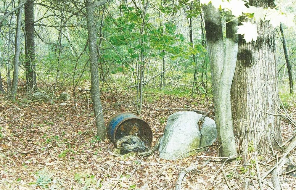 20 Chilling Facts About The Bear Brook Case