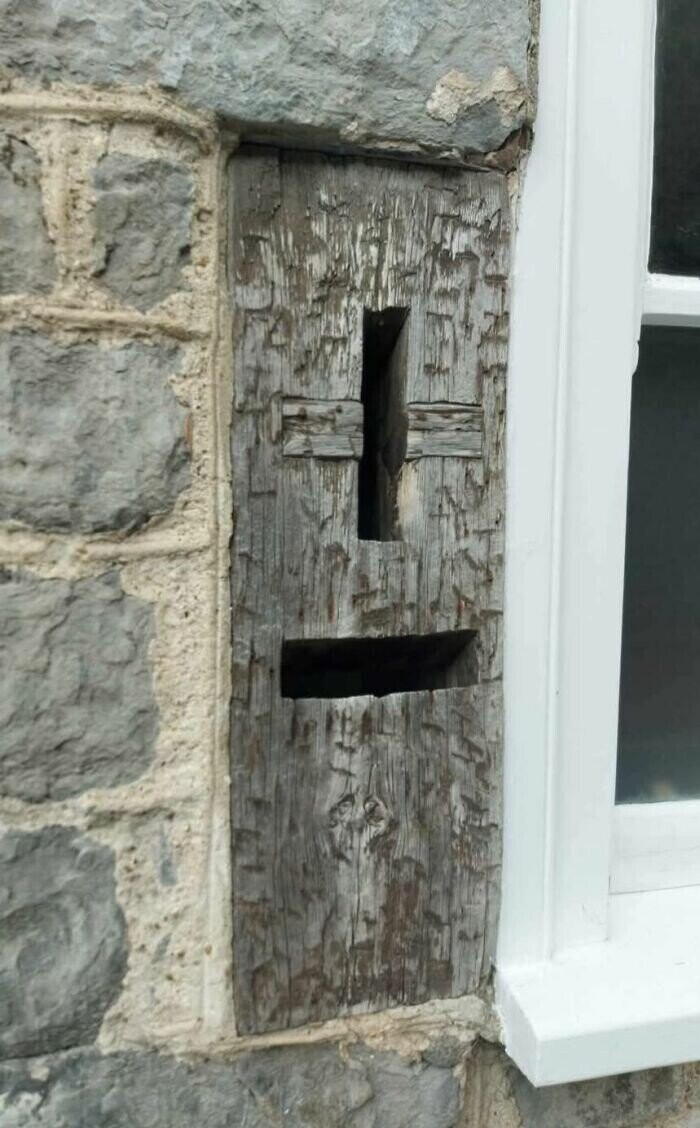 The Weirdest Stuff People Randomly Found In Homes