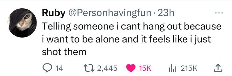 Ruby @Personhavingfun - 23h ... Telling someone i cant hang out because i want to be alone and it feels like i just shot them 14 2,445 15K 215K 