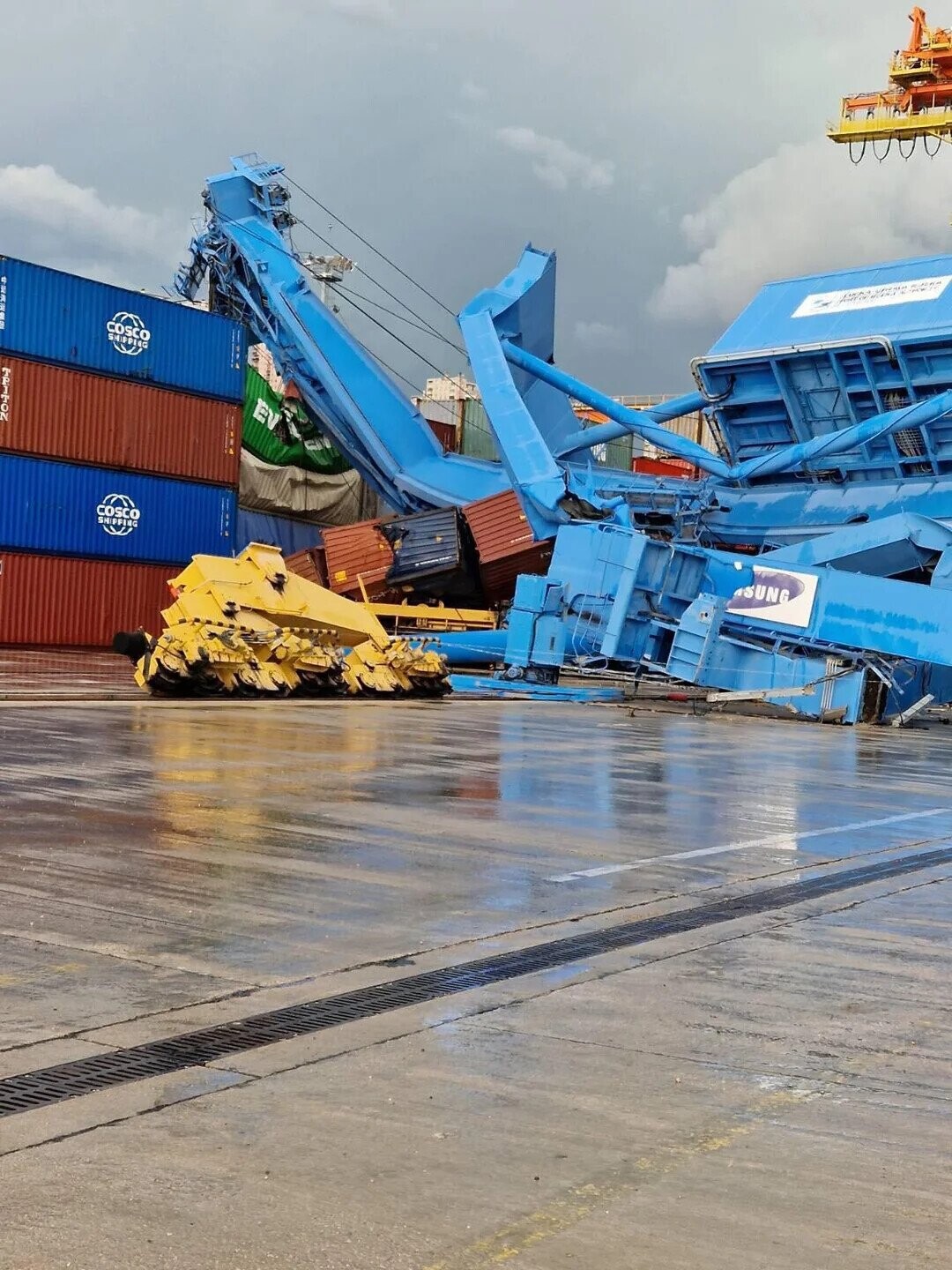 - not you COSCO SHIFFING EV SUNG COSCO SHIFFING