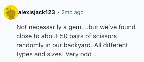 alexisjack123 . . 2mo ago Not necessarily a gem....but we've found close to about 50 pairs of scissors randomly in our backyard. All different types and sizes. Very odd . 