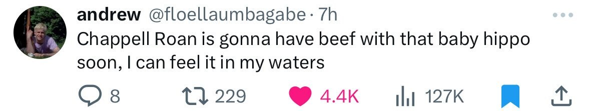 andrew @floellaumbagabe 7h Chappell Roan is gonna have beef with that baby hippo soon, I can feel it in my waters 8 229 4.4K 127K