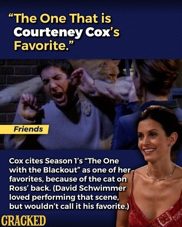The One That is Courteney Cox's Favorite. Friends Cox cites Season l's The One with the Blackout as one of her favorites, because of the cat on Ross' back. (David Schwimmer loved performing that scene, but wouldn't call it his favorite.) CRACKED