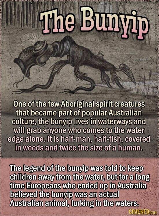 The Bunyip One of the few Aboriginal spirit creatures that became part of popular Australian culture, the bunyip lives in waterways and will grab anyone who comes to the water edge alone. It is half-man, half-fish, covered in weeds and twice the size of a human. The legend of the bunyip was told to keep children away from the water, but for a long time Europeans who ended up in Australia believed the bunyip was an actual Australian animal, lurking in the waters. CRACKED COM
