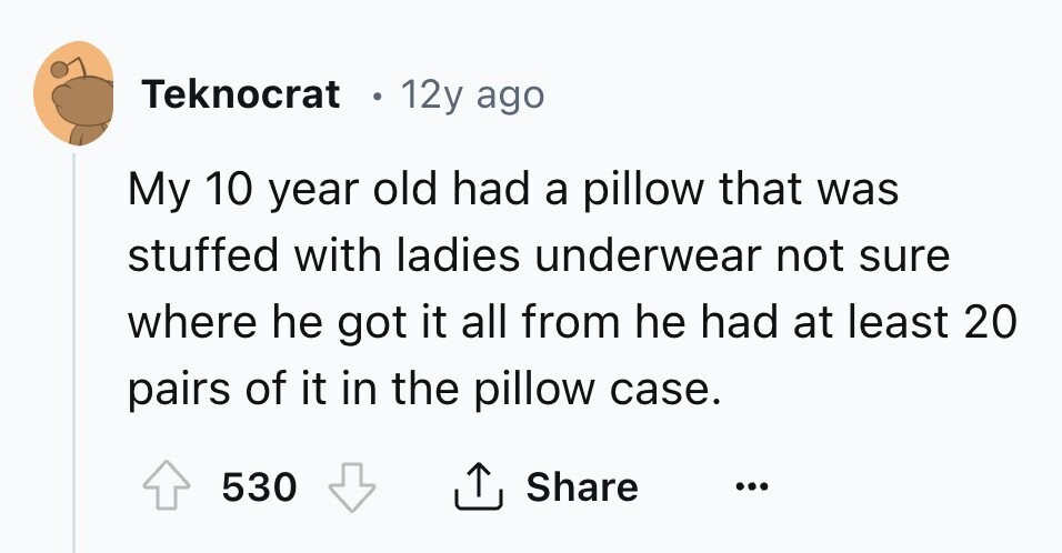 Teknocrat 12y ago My 10 year old had a pillow that was stuffed with ladies underwear not sure where he got it all from he had at least 20 pairs of it in the pillow case. 530 Share ...