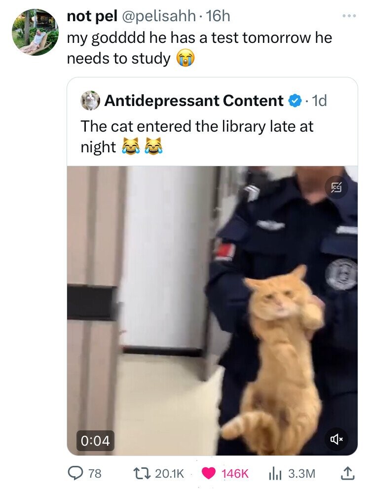 not pel @pelisahh· 16h my godddd he has a test tomorrow he needs to study Antidepressant Content 1d The cat entered the library late at night CC 0:04 78 20.1K 146K 3.3M 