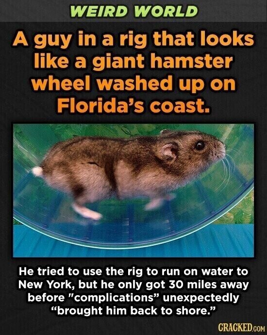 WEIRD WORLD A guy in a rig that looks like a giant hamster wheel washed up on Florida's coast. Не tried to use the rig to run on water to New York, but he only got 30 miles away before complications unexpectedly brought him back to shore. CRACKED.COM