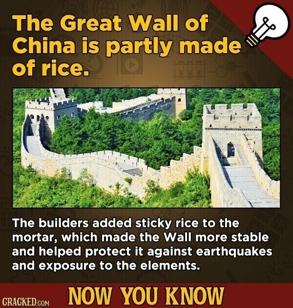The Great Wall of China is partly made of rice. The builders added sticky rice to the mortar, which made the Wall more stable and helped protect it against earthquakes and exposure to the elements. NOW YOU KNOW CRACKED.COM