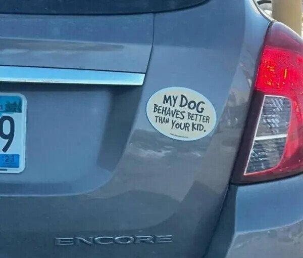 Photos Where Bumper Stickers Make an Interesting Stand
