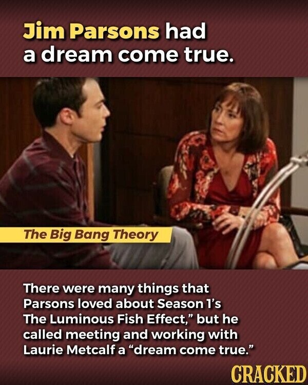 Jim Parsons had a dream come true. The Big Bang Theory There were many things that Parsons loved about Season l's The Luminous Fish Effect, but he called meeting and working with Laurie Metcalf a dream come true. CRACKED