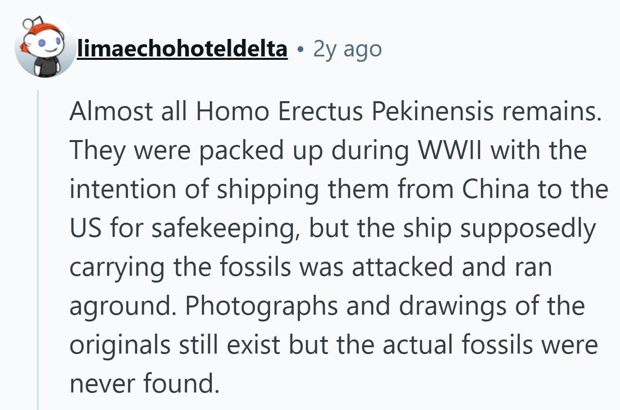limaechohoteldelta 2y ago Almost all Homo Erectus Pekinensis remains. They were packed up during WWII with the intention of shipping them from China to the US for safekeeping, but the ship supposedly carrying the fossils was attacked and ran aground. Photographs and drawings of the originals still exist but the actual fossils were never found. 