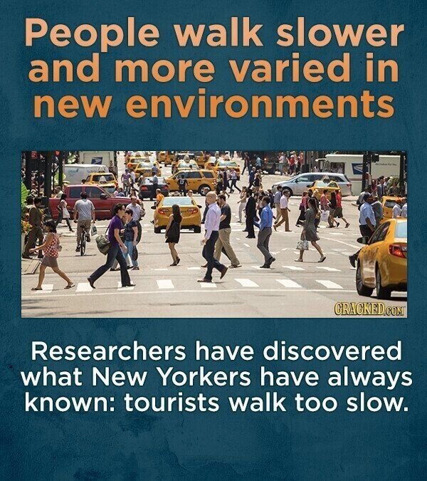 People walk slower and more varied in new environments GRACKED.COM Researchers have discovered what New Yorkers have always known: tourists walk too slow.