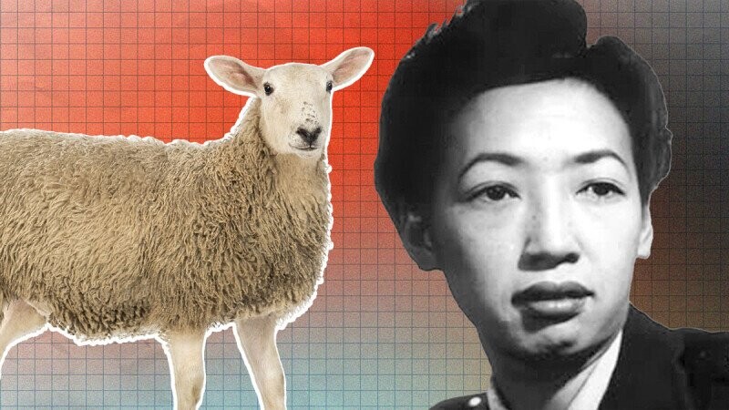 25 Bits of Trivia That Are Good to the Last Drop